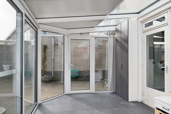 Foto 15 van Buizerd 11