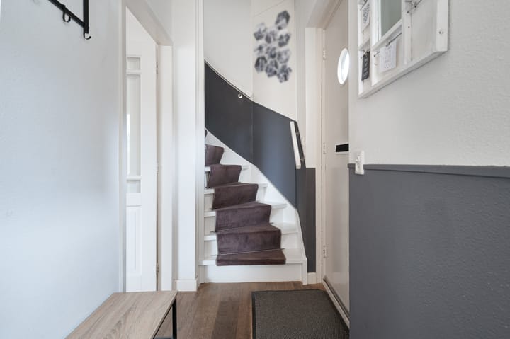 Foto 16 van Buizerd 11