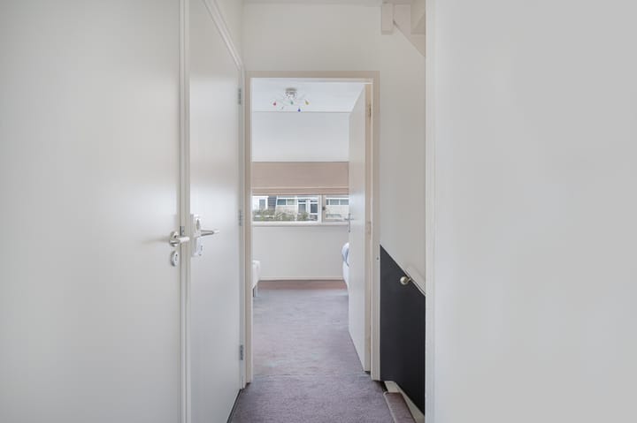 Foto 17 van Buizerd 11