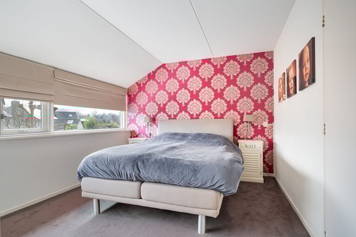 Foto 18 van Buizerd 11