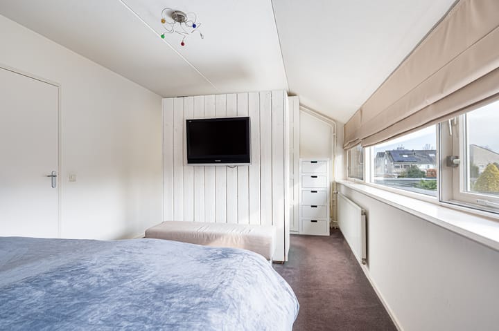 Foto 19 van Buizerd 11