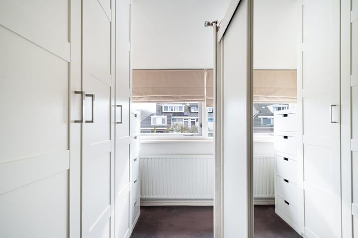 Foto 20 van Buizerd 11