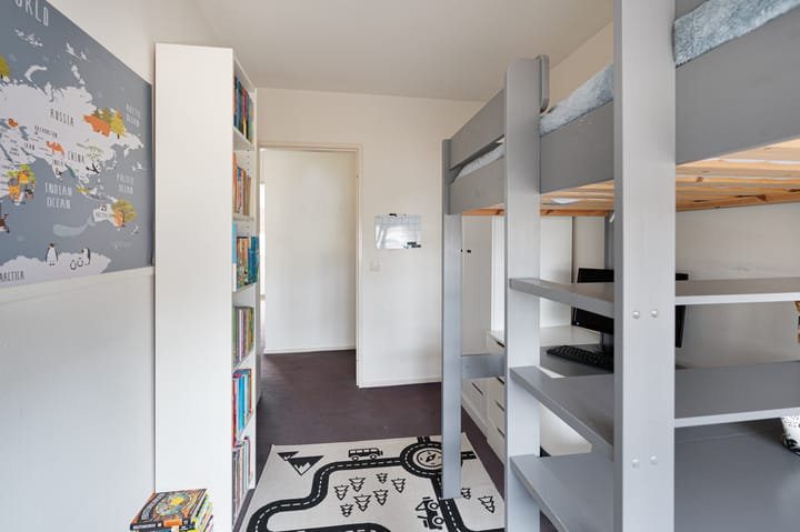 Foto 22 van Buizerd 11