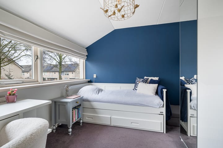 Foto 23 van Buizerd 11