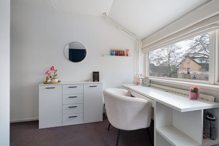 Foto 24 van Buizerd 11