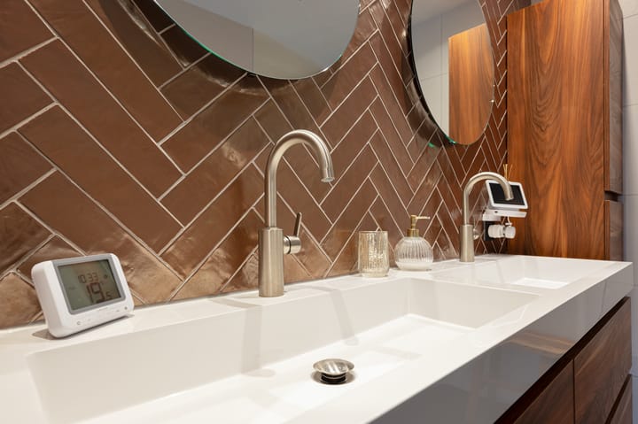 Foto 27 van Buizerd 11