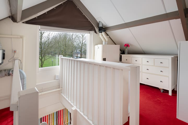 Foto 29 van Buizerd 11