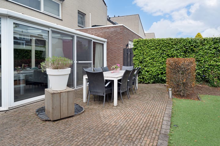 Foto 32 van Buizerd 11