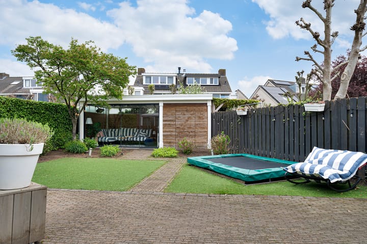 Foto 33 van Buizerd 11