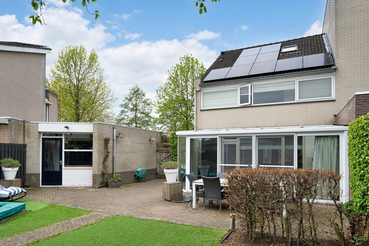 Foto 37 van Buizerd 11