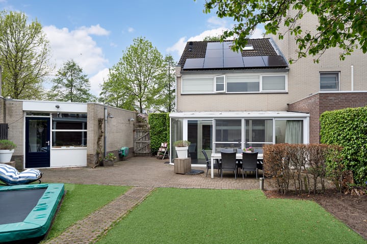 Foto 38 van Buizerd 11