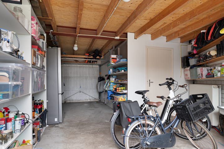 Foto 39 van Buizerd 11