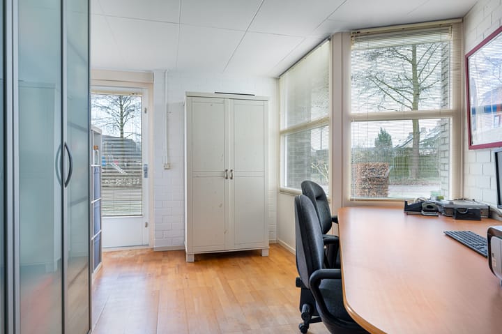 Foto 40 van Buizerd 11