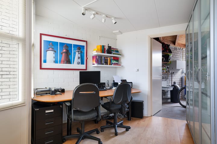 Foto 41 van Buizerd 11