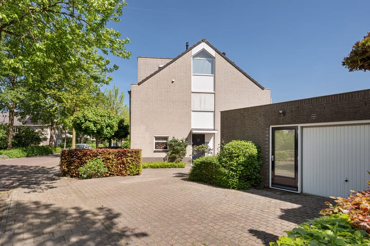 Foto 42 van Buizerd 11