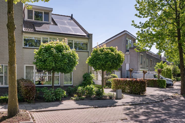 Foto 43 van Buizerd 11