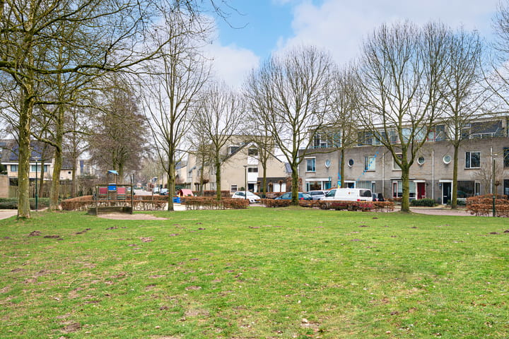 Foto 44 van Buizerd 11