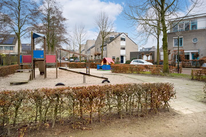 Foto 45 van Buizerd 11