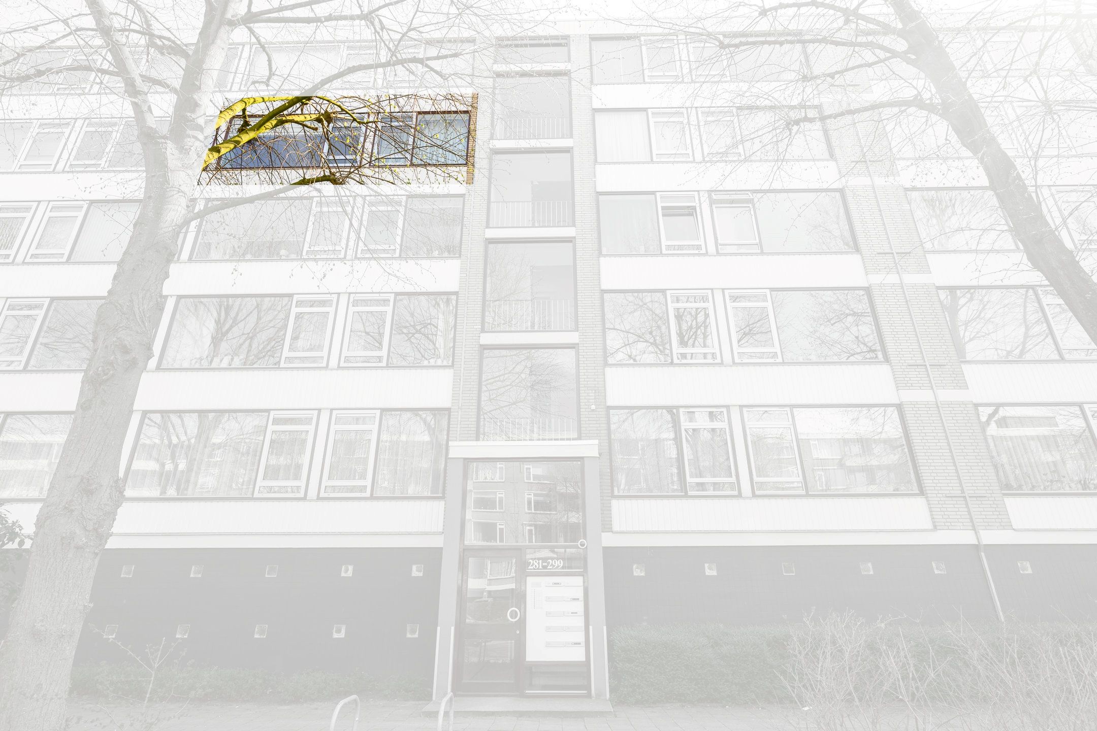 Foto 24 van Burgemeester Caan van Necklaan 287