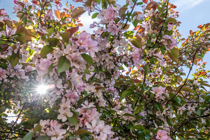 Foto 29 van De Volder 71