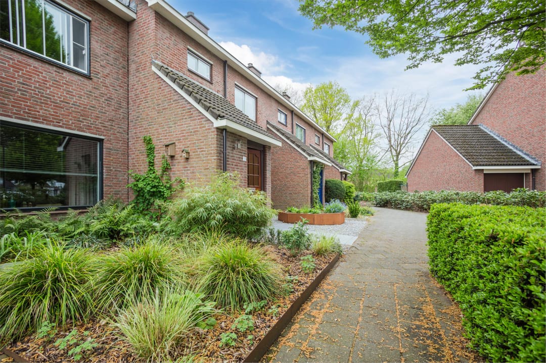 Photo 2 of Molenaar 13