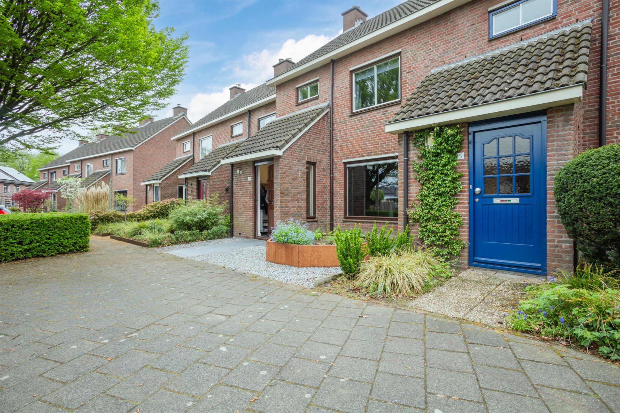 Photo 3 of Molenaar 13