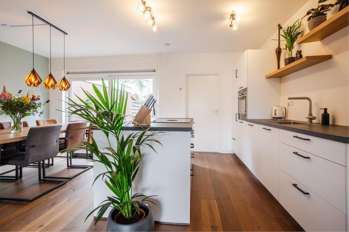 Photo 8 of Molenaar 13