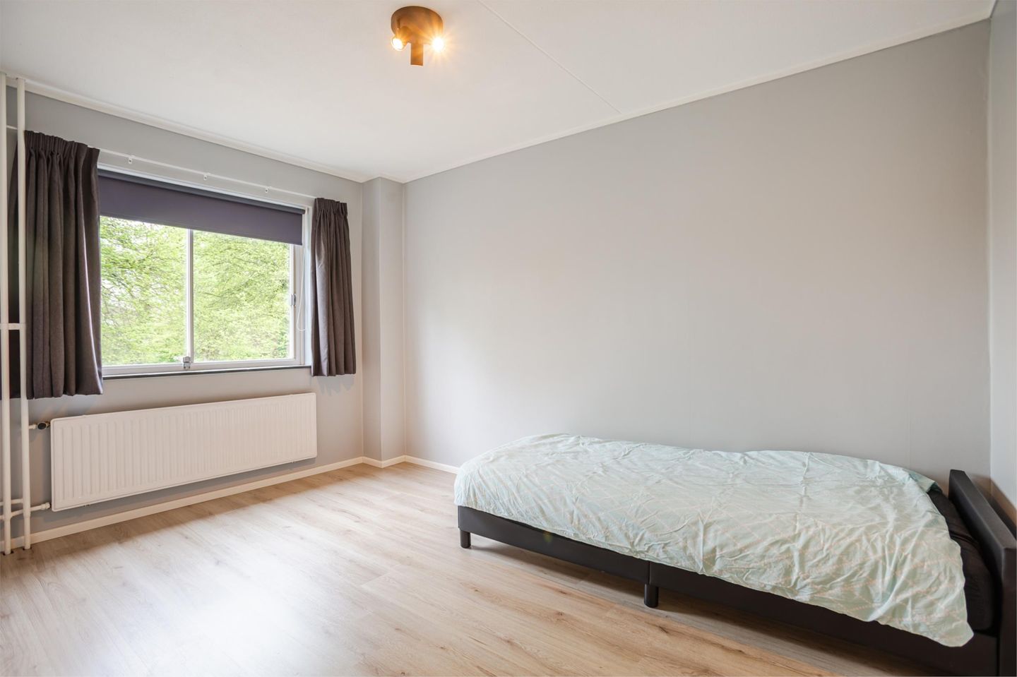 Photo 19 of Molenaar 13