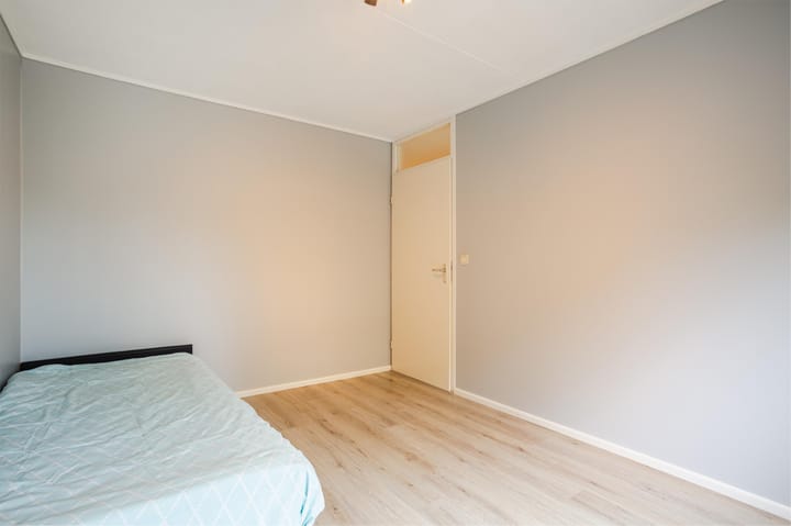 Photo 20 of Molenaar 13