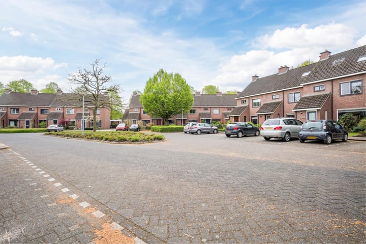 Photo 40 of Molenaar 13