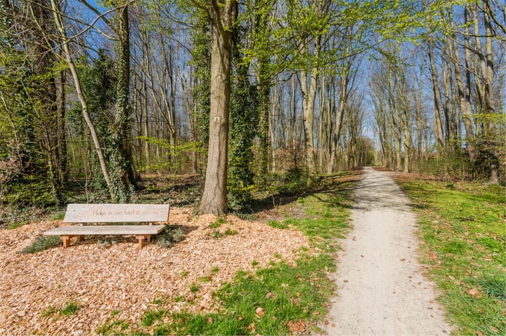 Foto 38 van Slangenburg 9