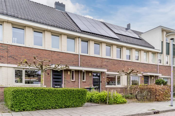 Foto 2 van Juttepeer 19