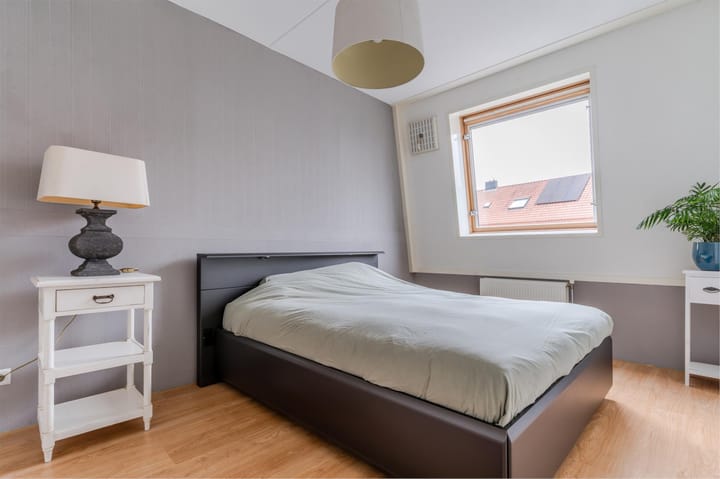 Foto 18 van Juttepeer 19