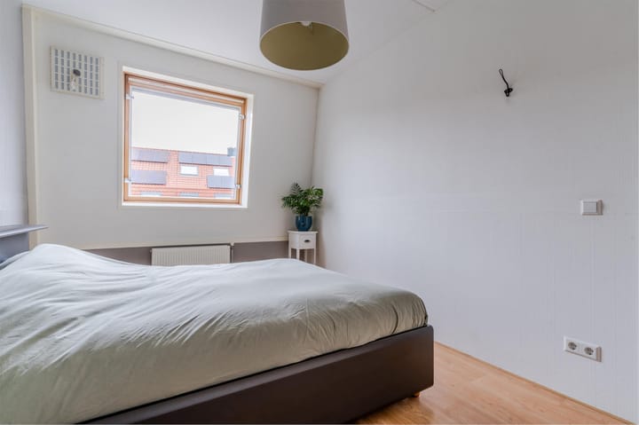 Foto 19 van Juttepeer 19