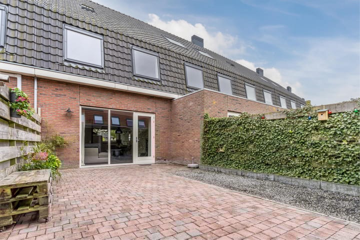 Foto 40 van Juttepeer 19