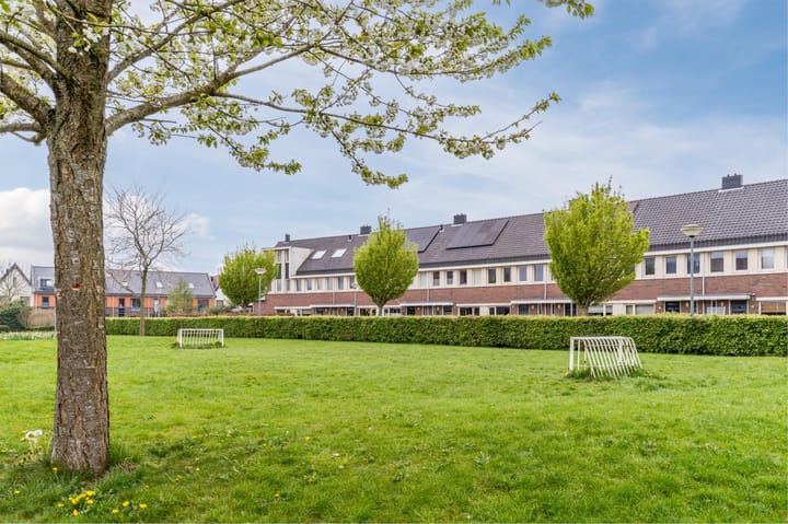 Foto 42 van Juttepeer 19