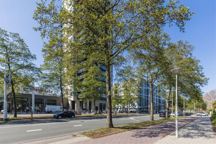 Photo 25 of Geervliet 24-A