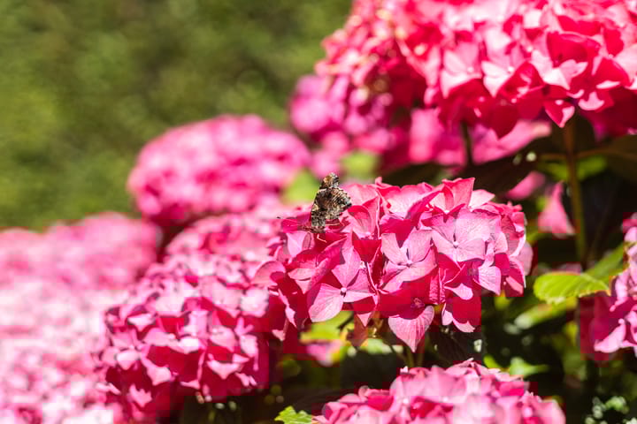 Foto 70 van St. Machutusweg 2