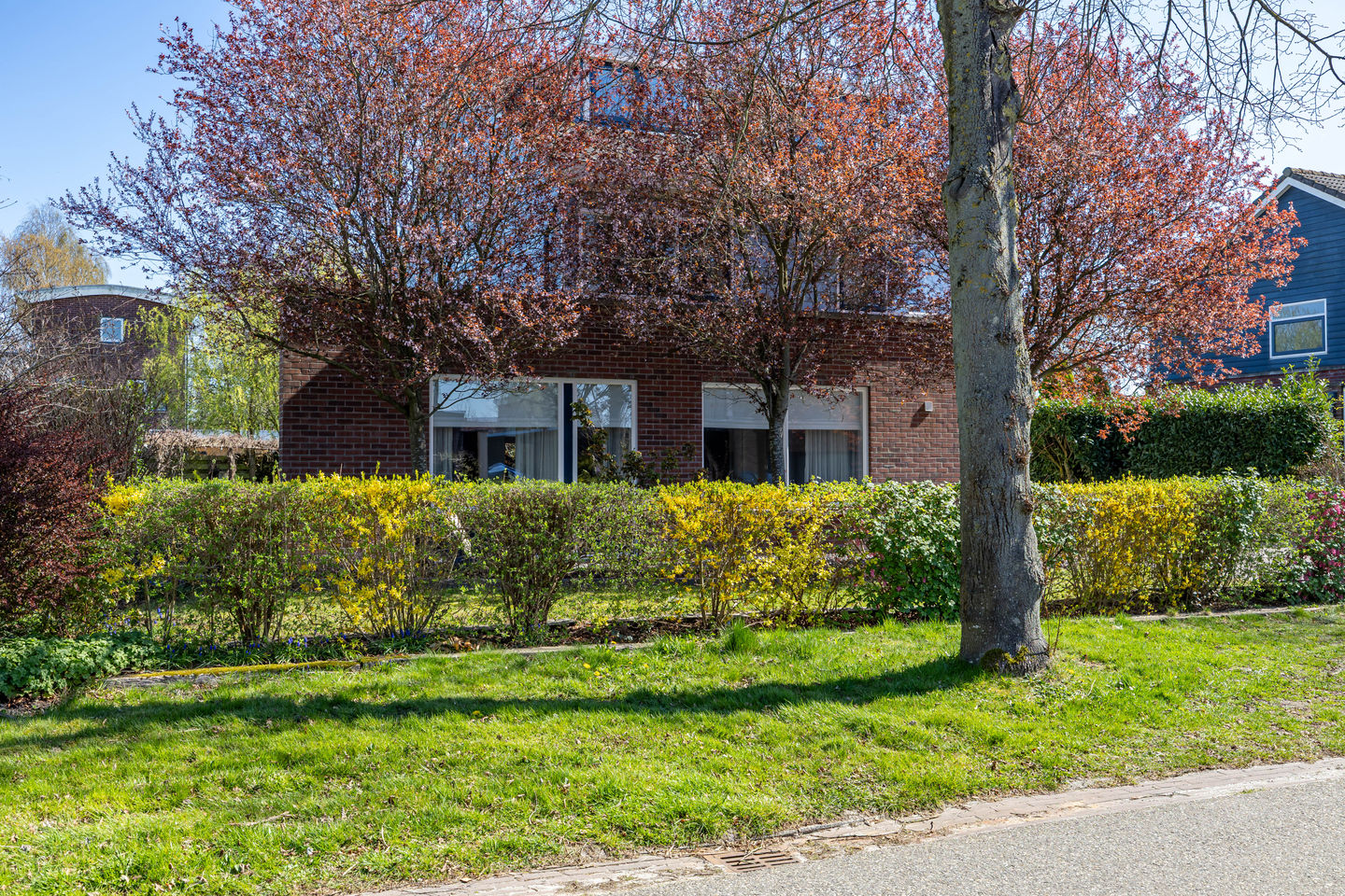 Photo 59 of Laan der Kruisheren 77