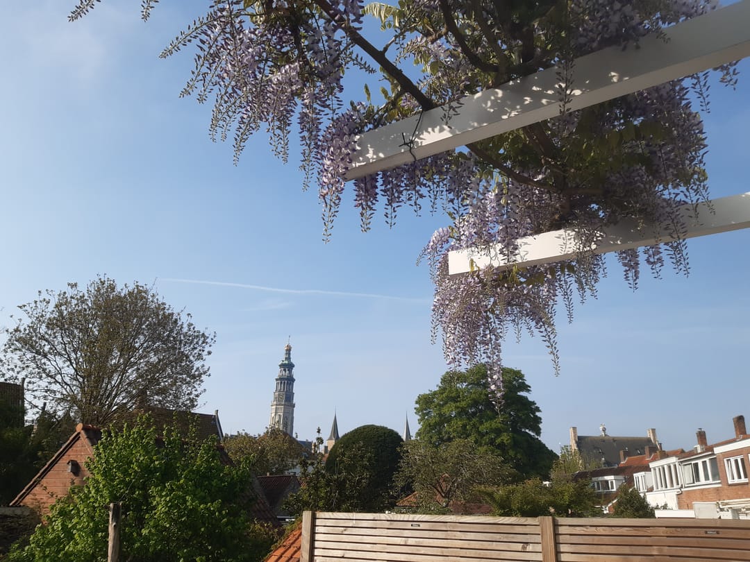 Foto 43 van Bleek 26