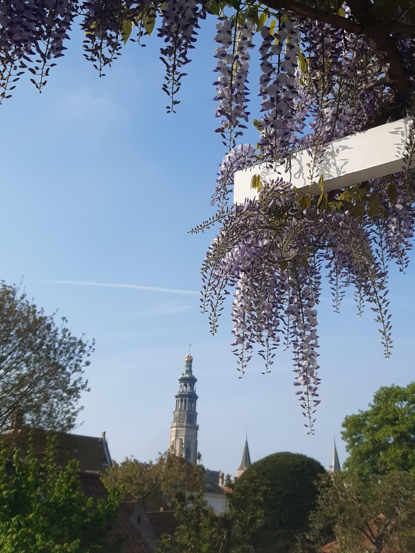 Foto 44 van Bleek 26