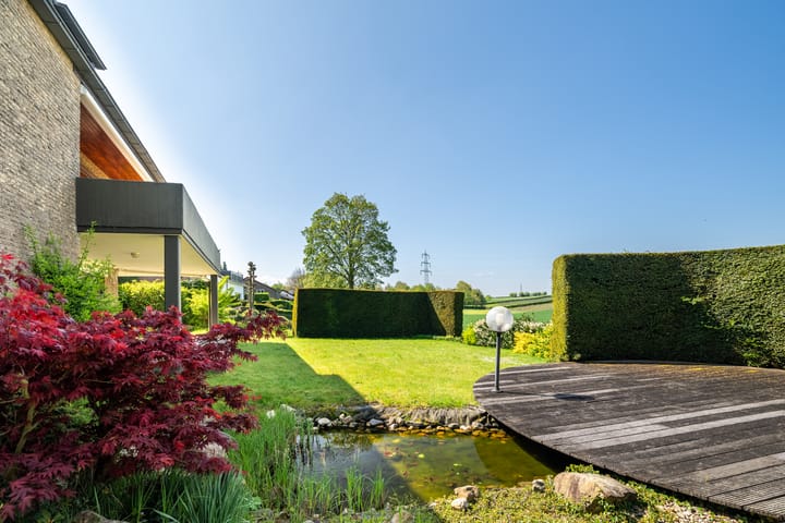 Foto 29 van Schoutstraat 17