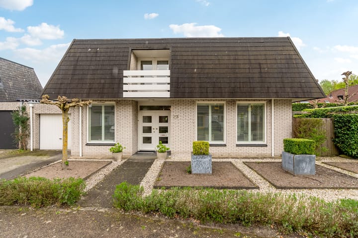 undefined main image