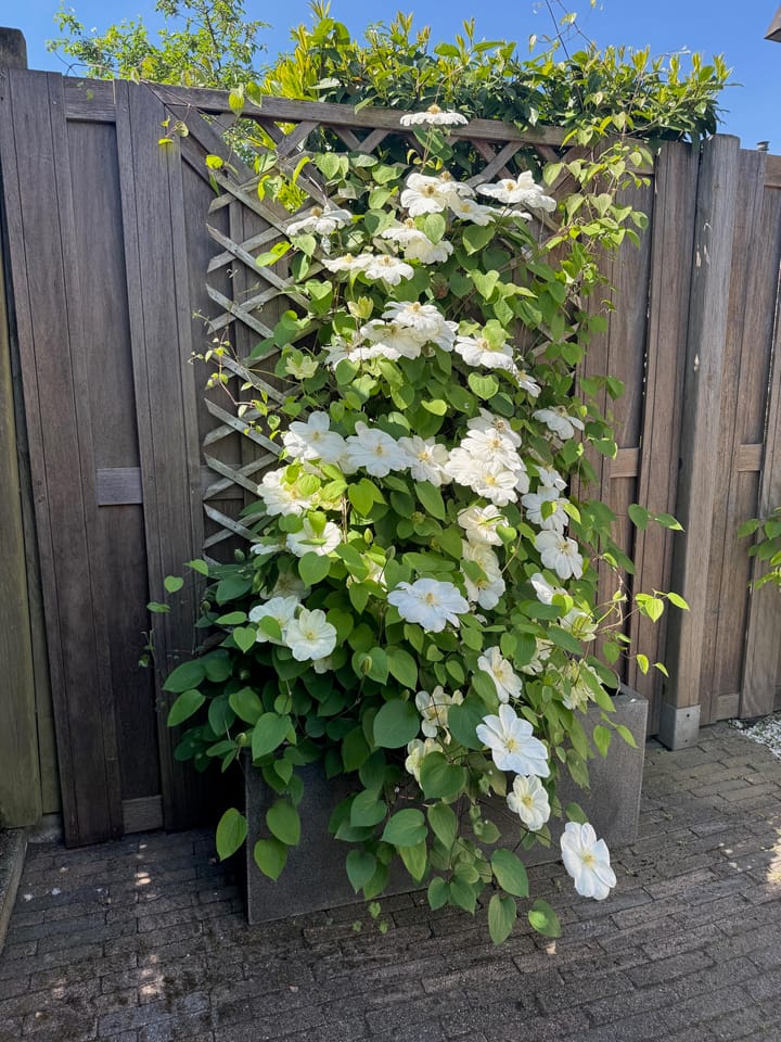 Foto 42 van Thornerbeek 23