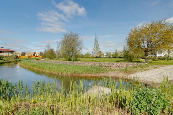 Foto 42 van Aurorastraat 43