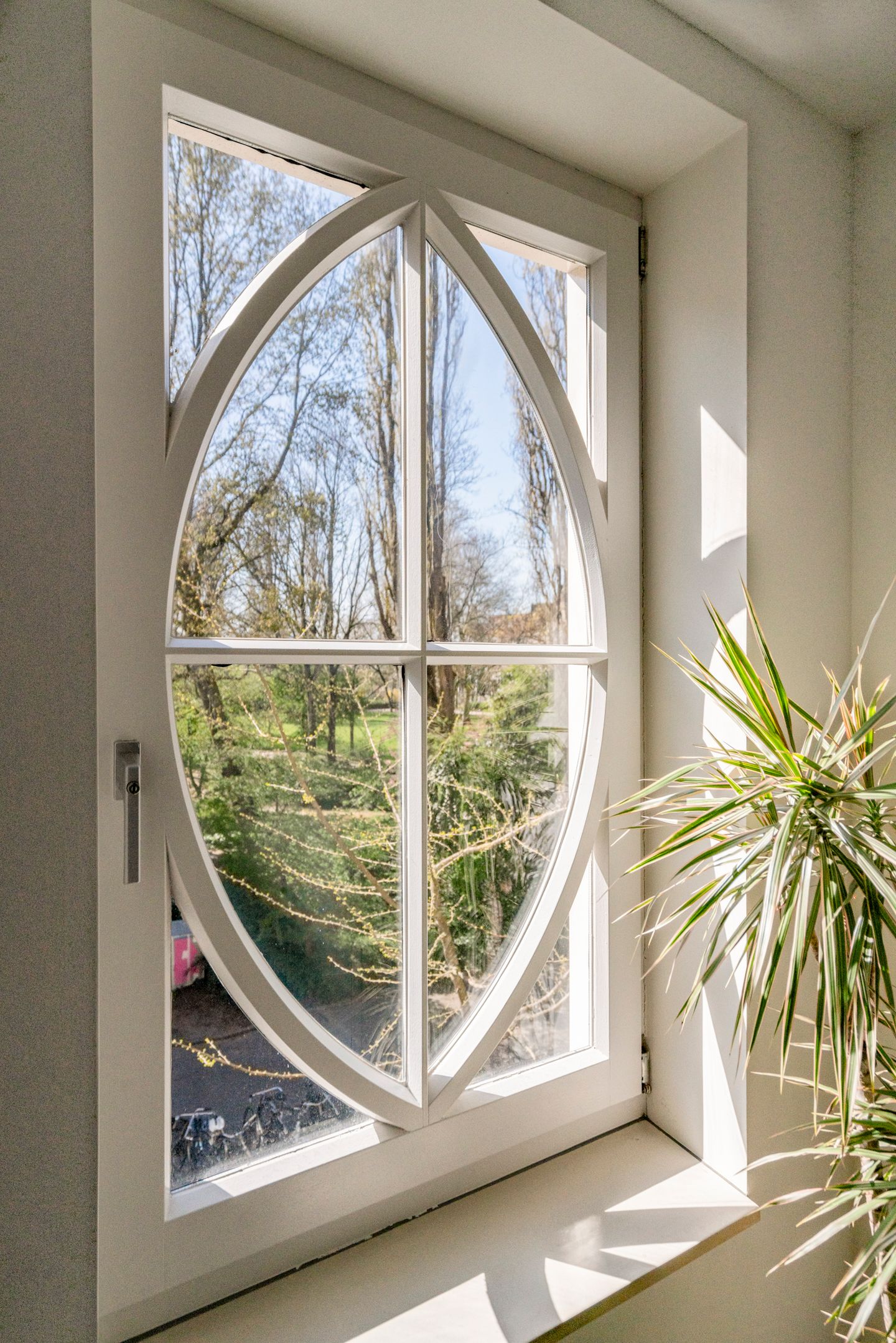 Foto 5 van Knollendamstraat 119