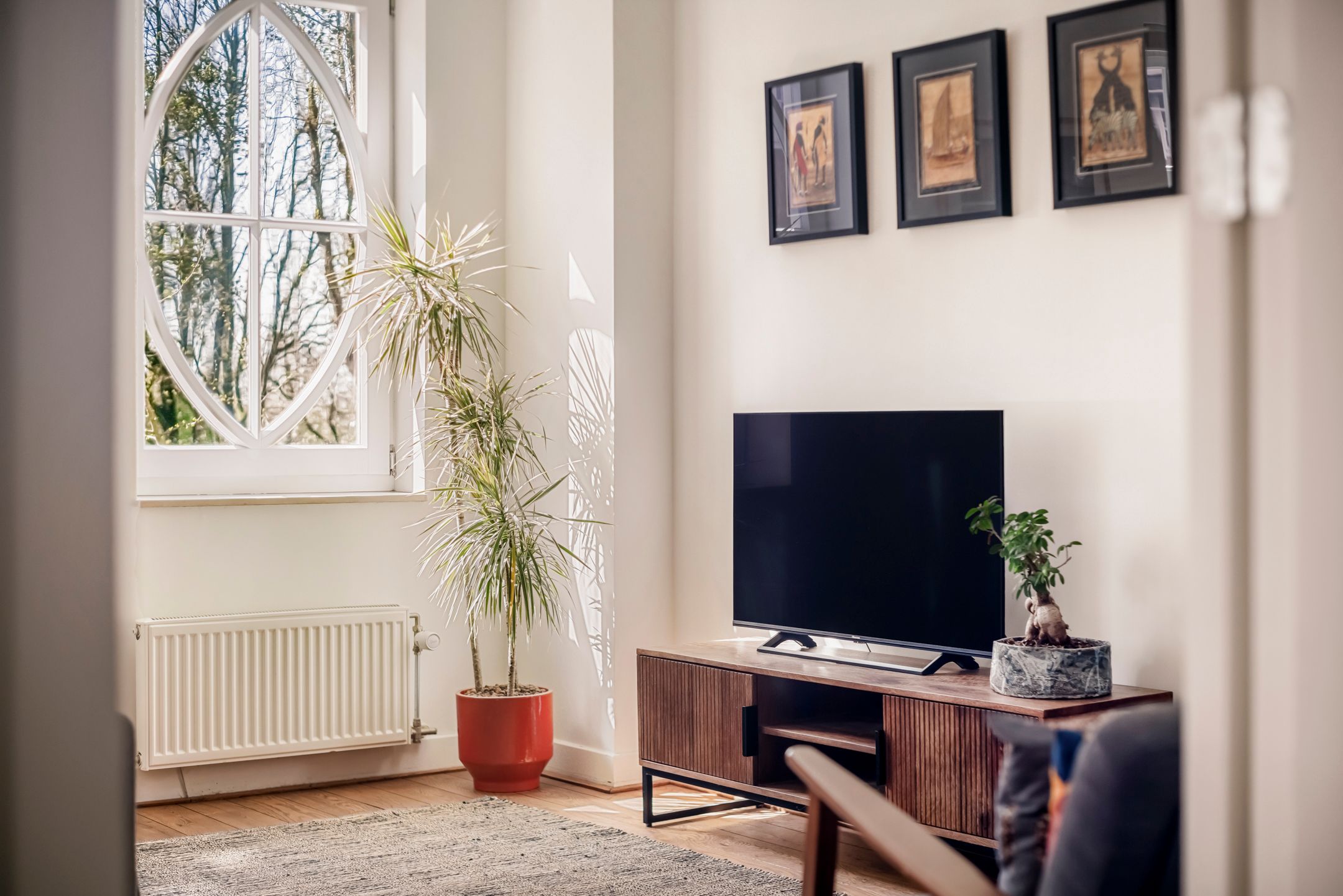 Foto 18 van Knollendamstraat 119