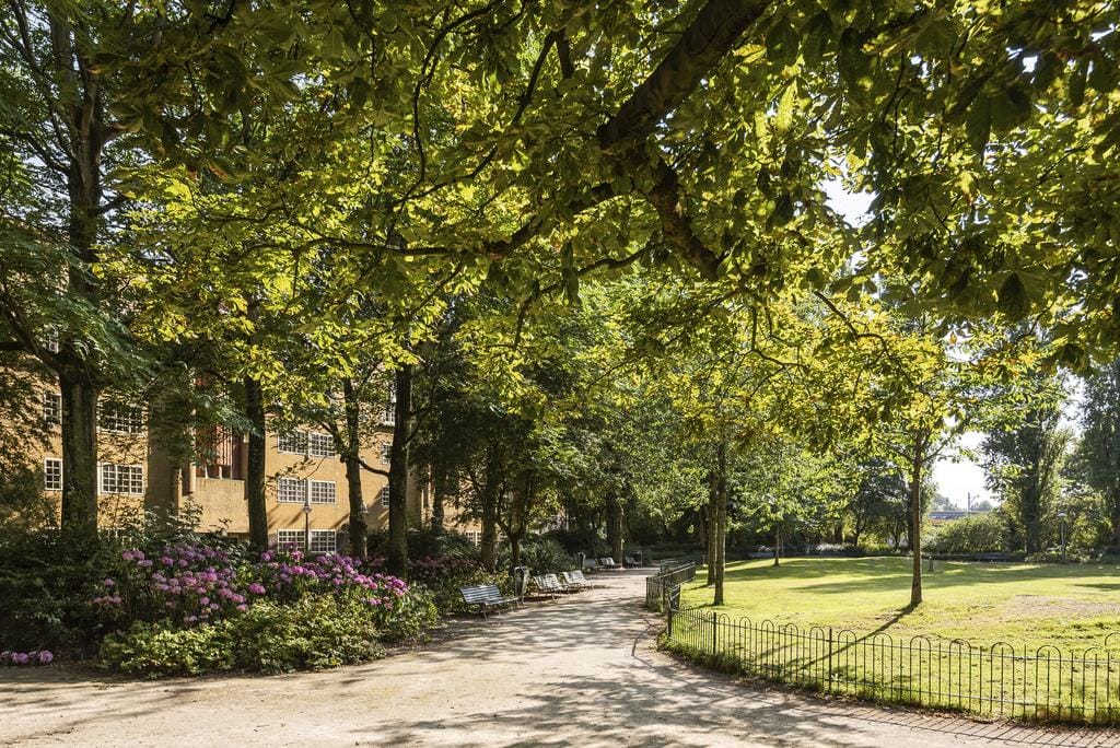 Foto 45 van Knollendamstraat 119