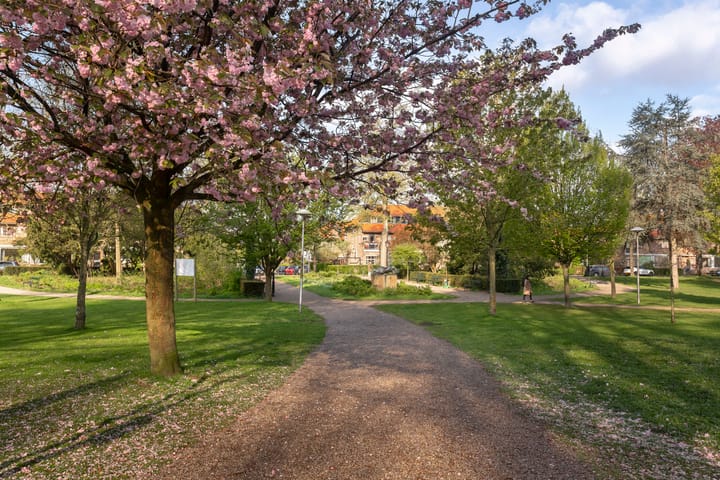 Foto 30 van Händelstraat 82