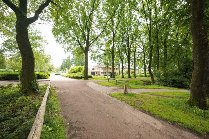 Foto 5 van Rietgansstraat 9